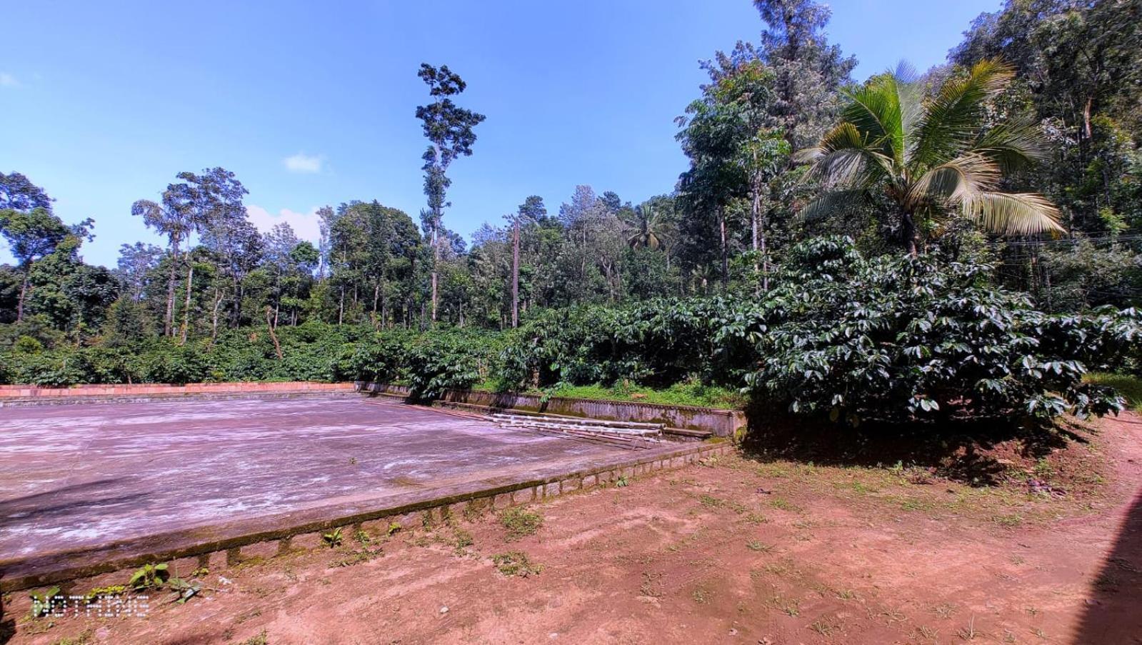 Suntikoppa Coorg Divine Spark Home Stay מראה חיצוני תמונה